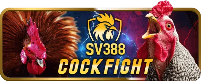Giao diện đặt cược Slot